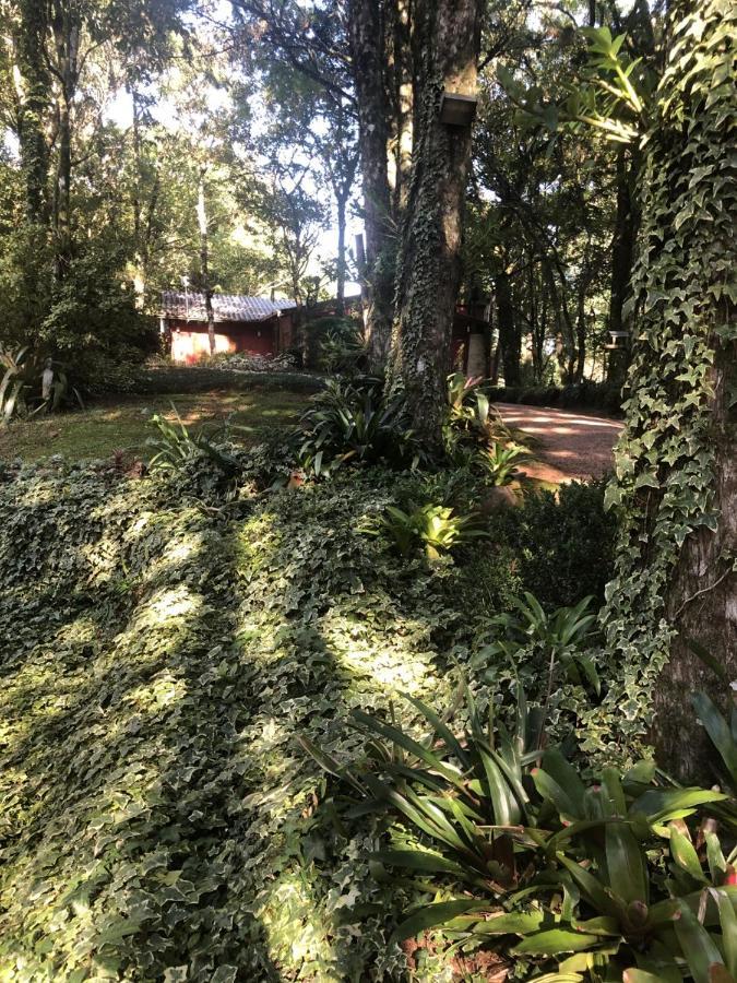 Refugio Da Natureza เซาฟรานซิสโก จิ เปาลา ภายนอก รูปภาพ