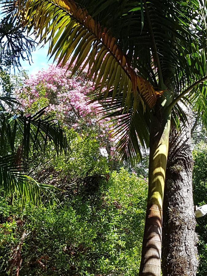 Refugio Da Natureza เซาฟรานซิสโก จิ เปาลา ภายนอก รูปภาพ