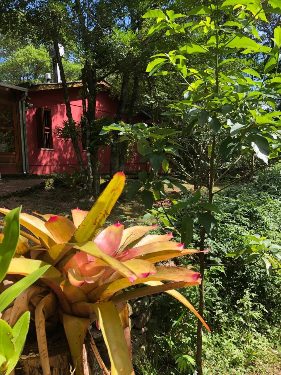 Refugio Da Natureza เซาฟรานซิสโก จิ เปาลา ภายนอก รูปภาพ