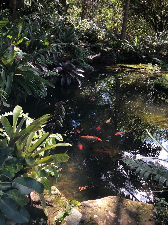 Refugio Da Natureza เซาฟรานซิสโก จิ เปาลา ภายนอก รูปภาพ