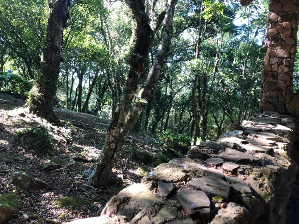 Refugio Da Natureza เซาฟรานซิสโก จิ เปาลา ภายนอก รูปภาพ